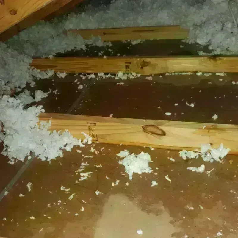 Attic Water Damage in Skyline-Ganipa, NM